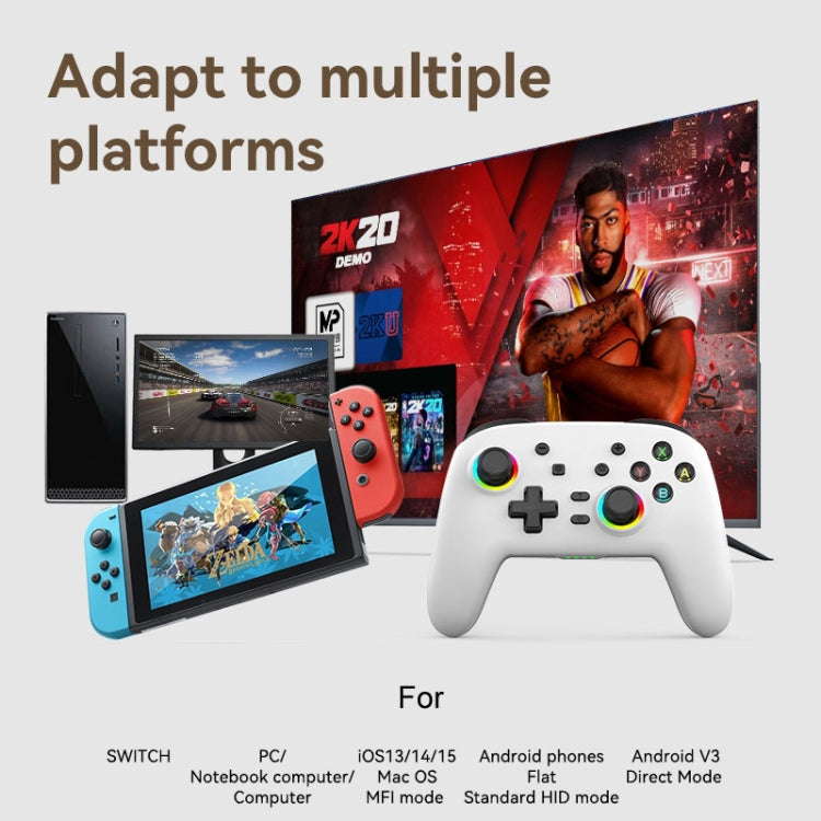 Wireless Bluetooth Somatosensory Vibration Gamepad for Nintendo Switch/Switch PRO, Color: Black by bashfashion