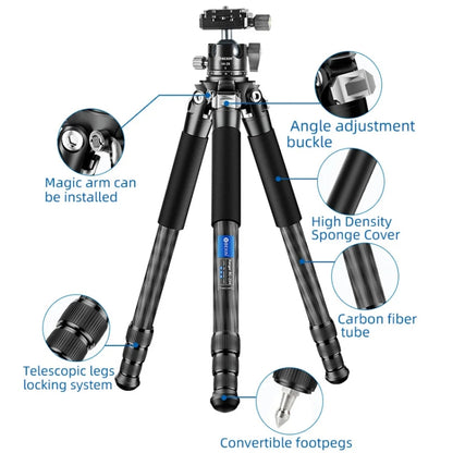 BEXIN RC254+LH-28 Carbon Fiber Portable Folding Tripod SLR Camera Low Gravity Center Gimbal Photography Bracket by BEXIN